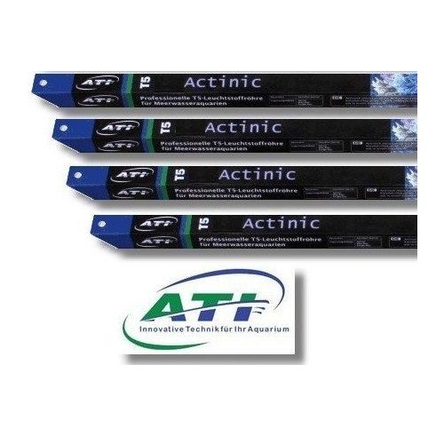 ATI T5 24W Actinic
