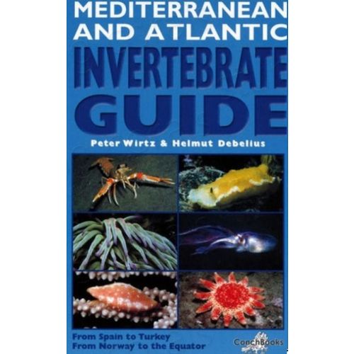 Mediterranean And Atlantic Invertebrate Guide