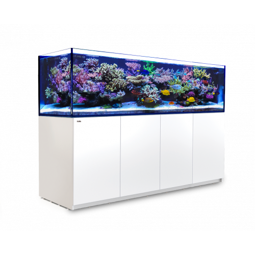 Red Sea Reefer 3XL 900 G2+ Wit