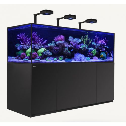 Red Sea Reefer S-1000 G2+ Zwart DeLuxe