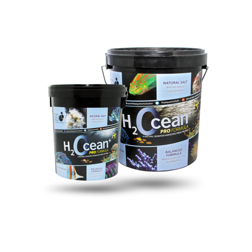 D-D H2Ocean Salt/Zout 6,6 kg