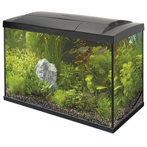 SuperFish Start 100 LED Tropical Kit Zwart